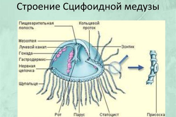 Кракен даркнет магазин