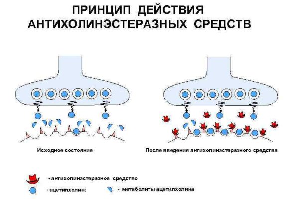 Kraken официальный сайт ссылка